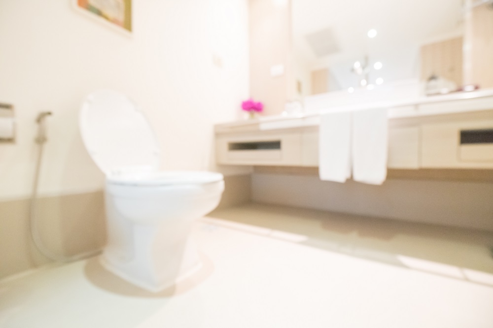 Toilet Disposal Service Disposing of Your Old Toilet Bowl in Barrie